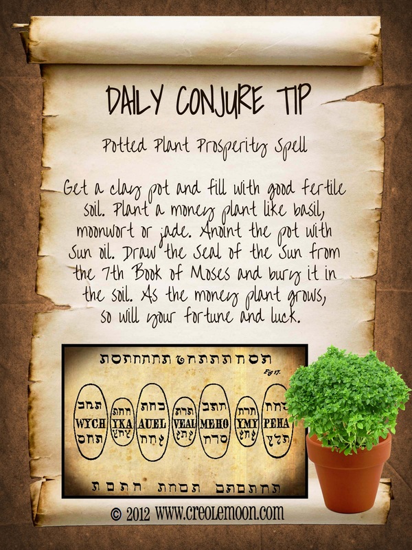 Potted Plant Proserity Spell at ConjureDoctors.com